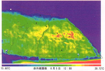 吹付けのり面熱画像